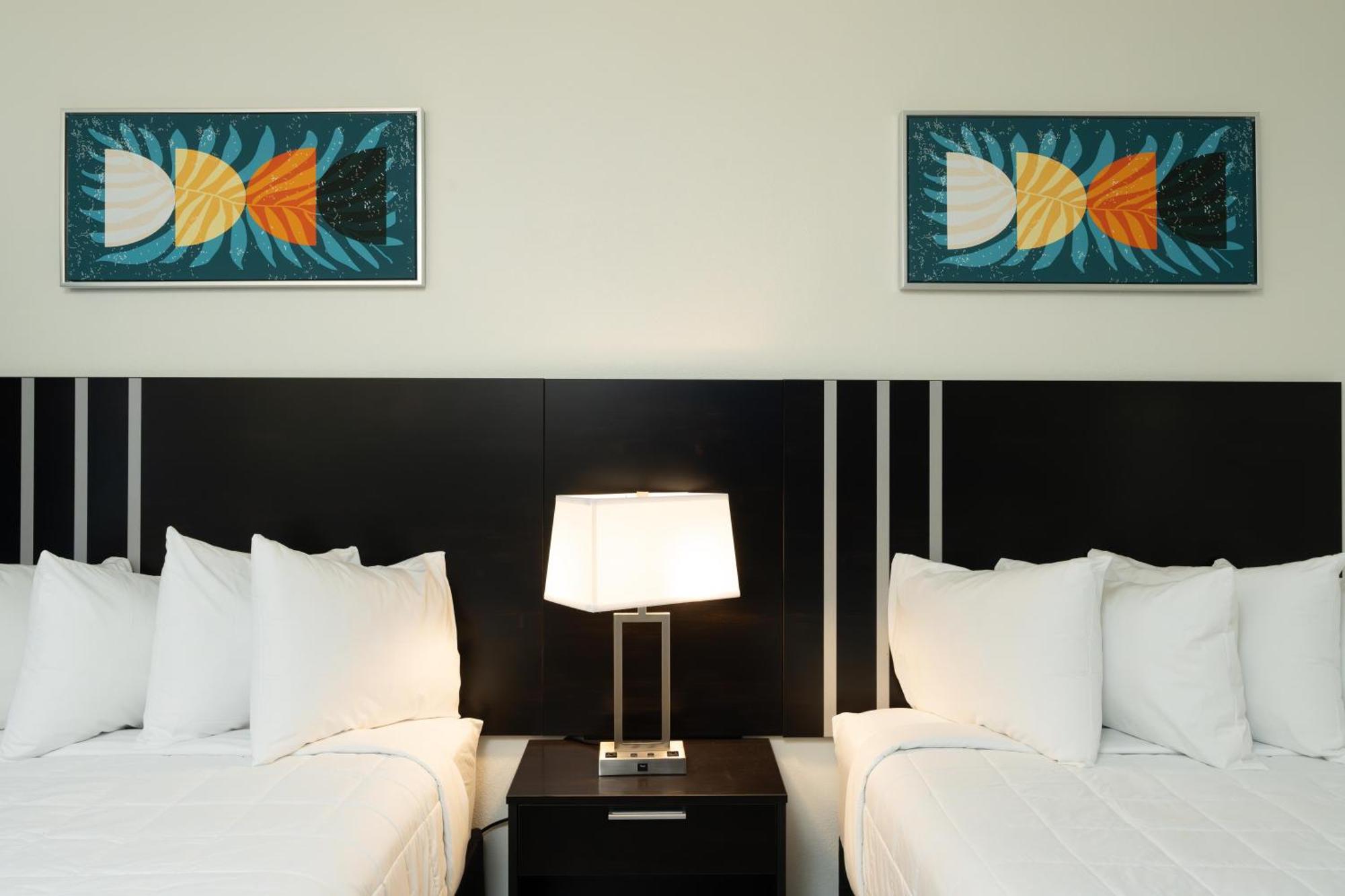 Oasis Bay Suites, Tampa, Busch Gardens, Usf 외부 사진