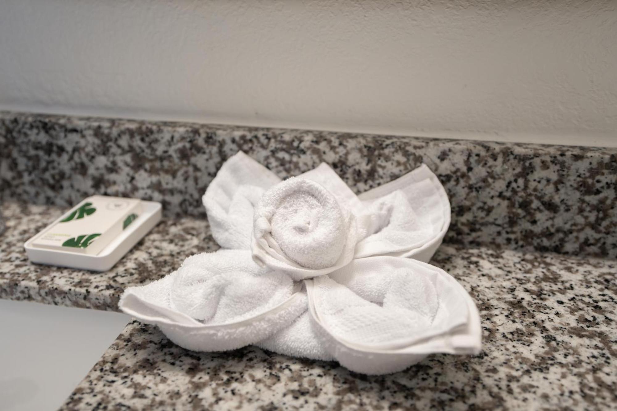 Oasis Bay Suites, Tampa, Busch Gardens, Usf 외부 사진