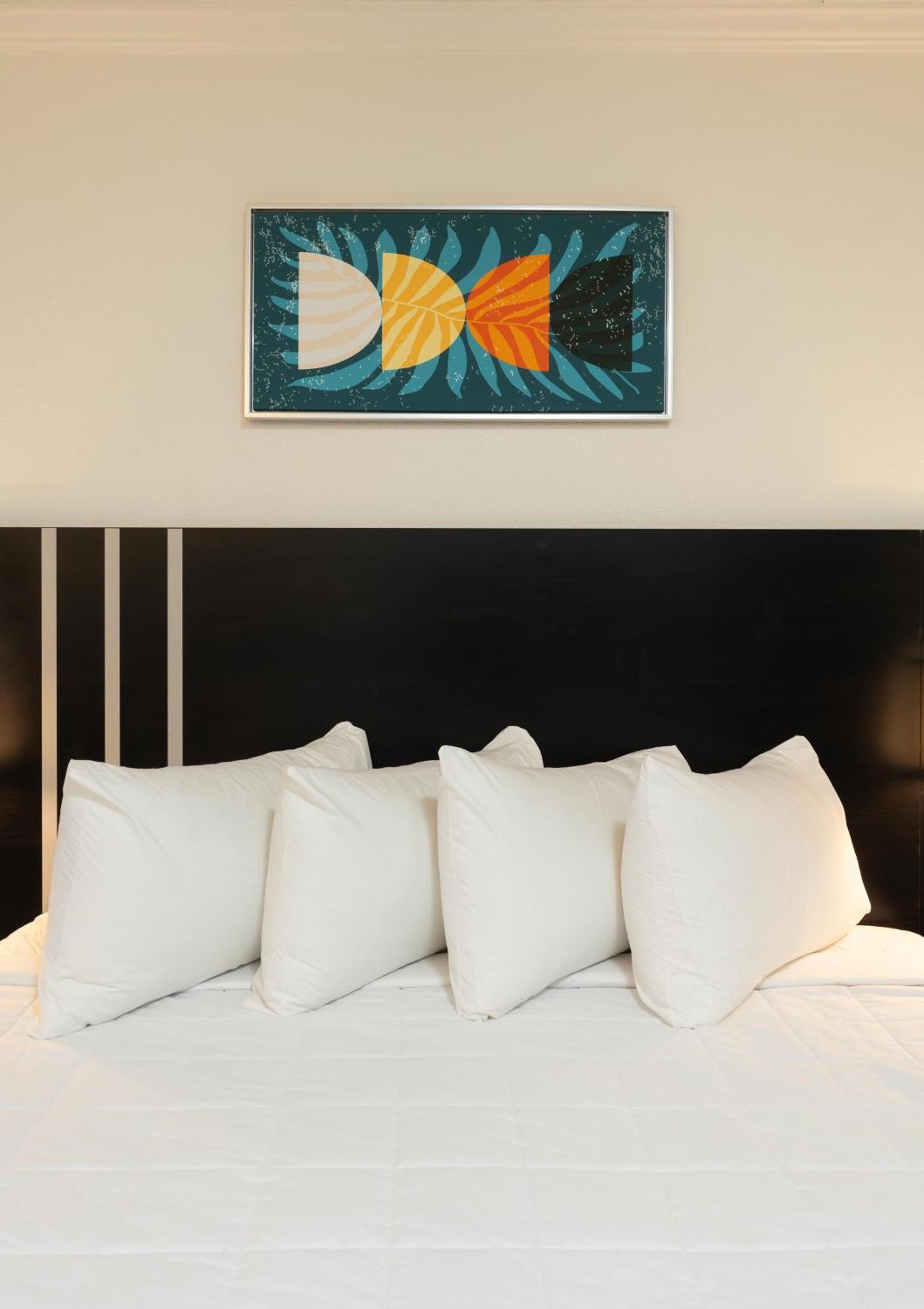 Oasis Bay Suites, Tampa, Busch Gardens, Usf 외부 사진