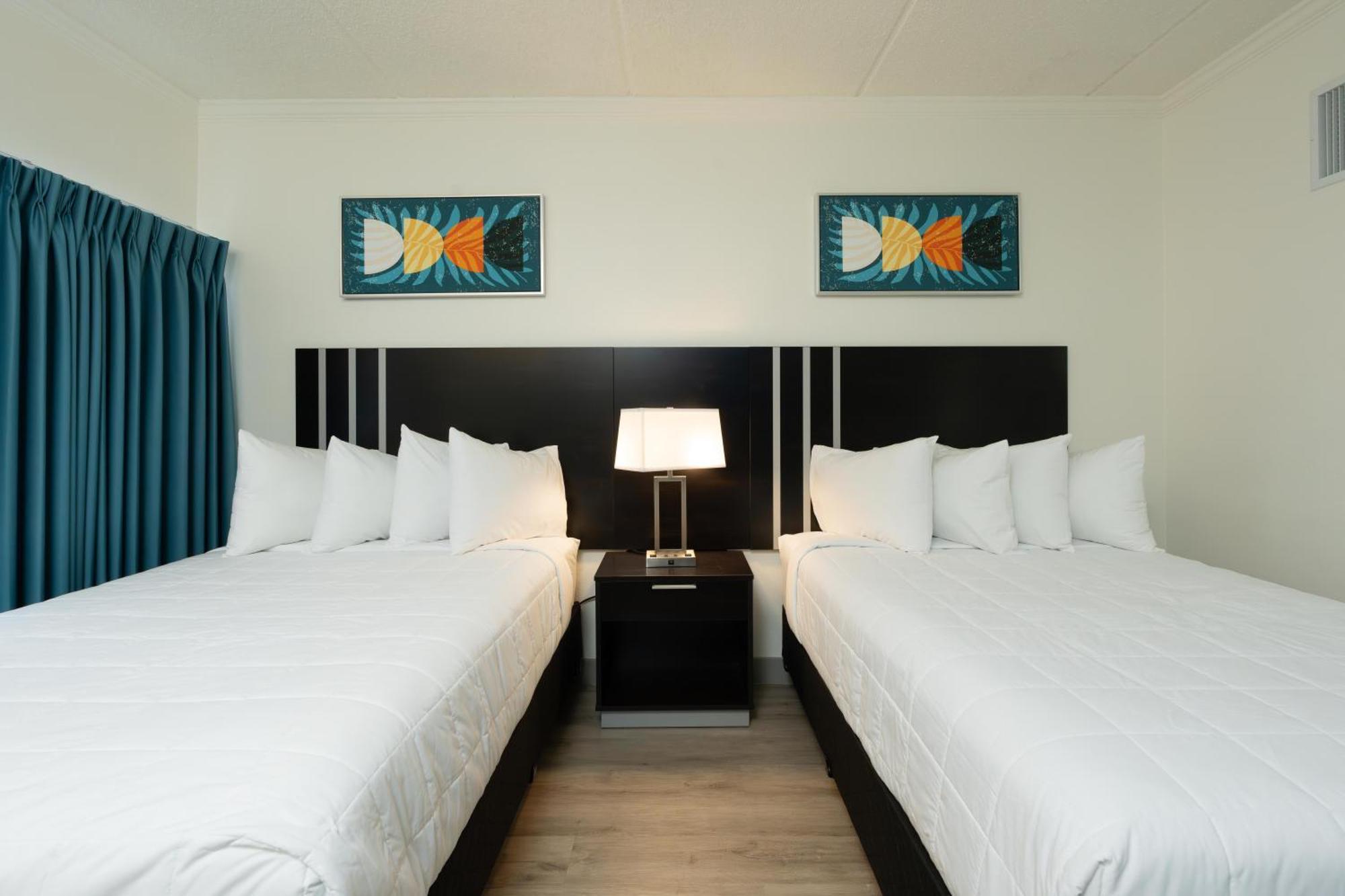 Oasis Bay Suites, Tampa, Busch Gardens, Usf 외부 사진