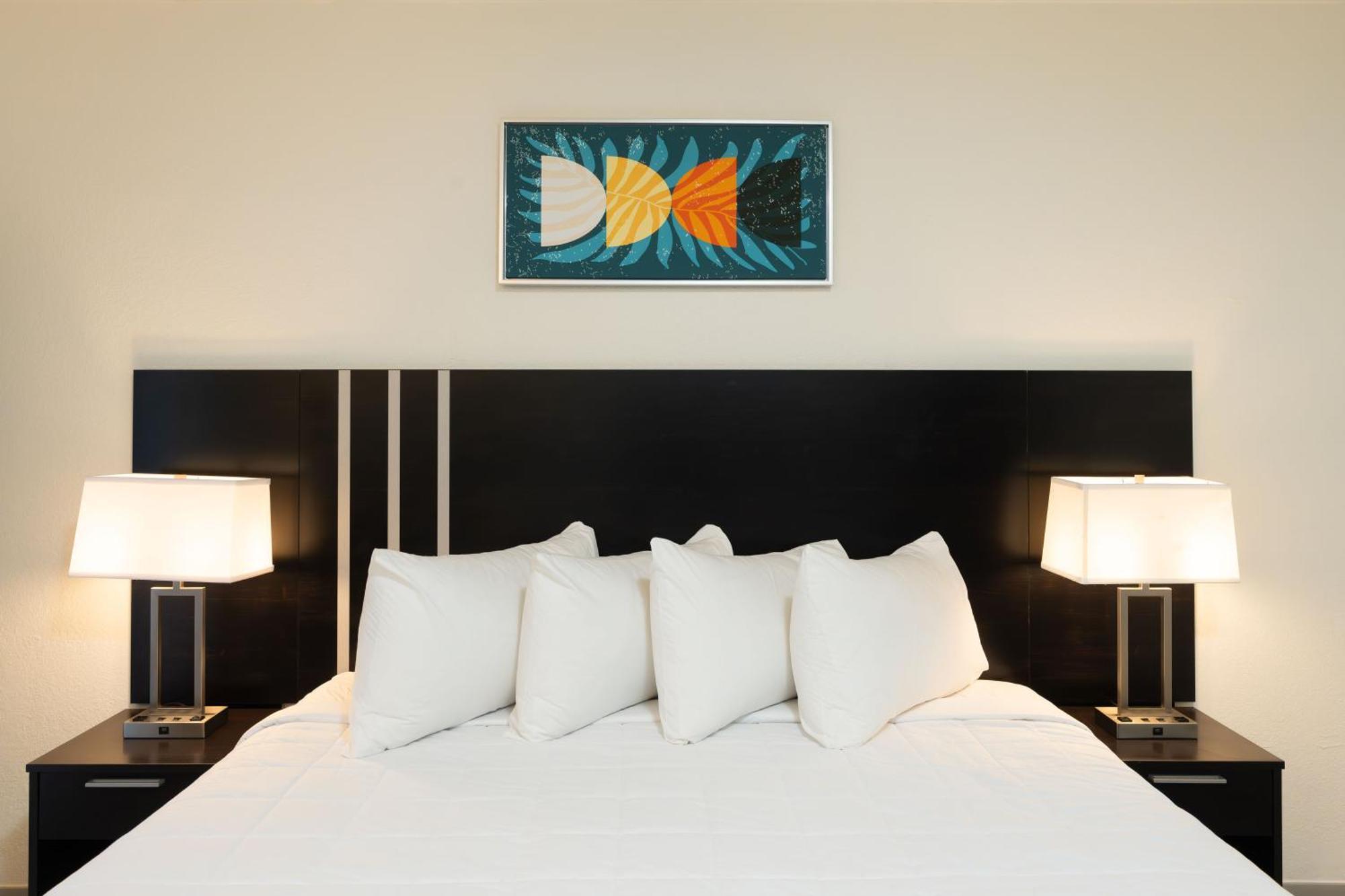 Oasis Bay Suites, Tampa, Busch Gardens, Usf 외부 사진