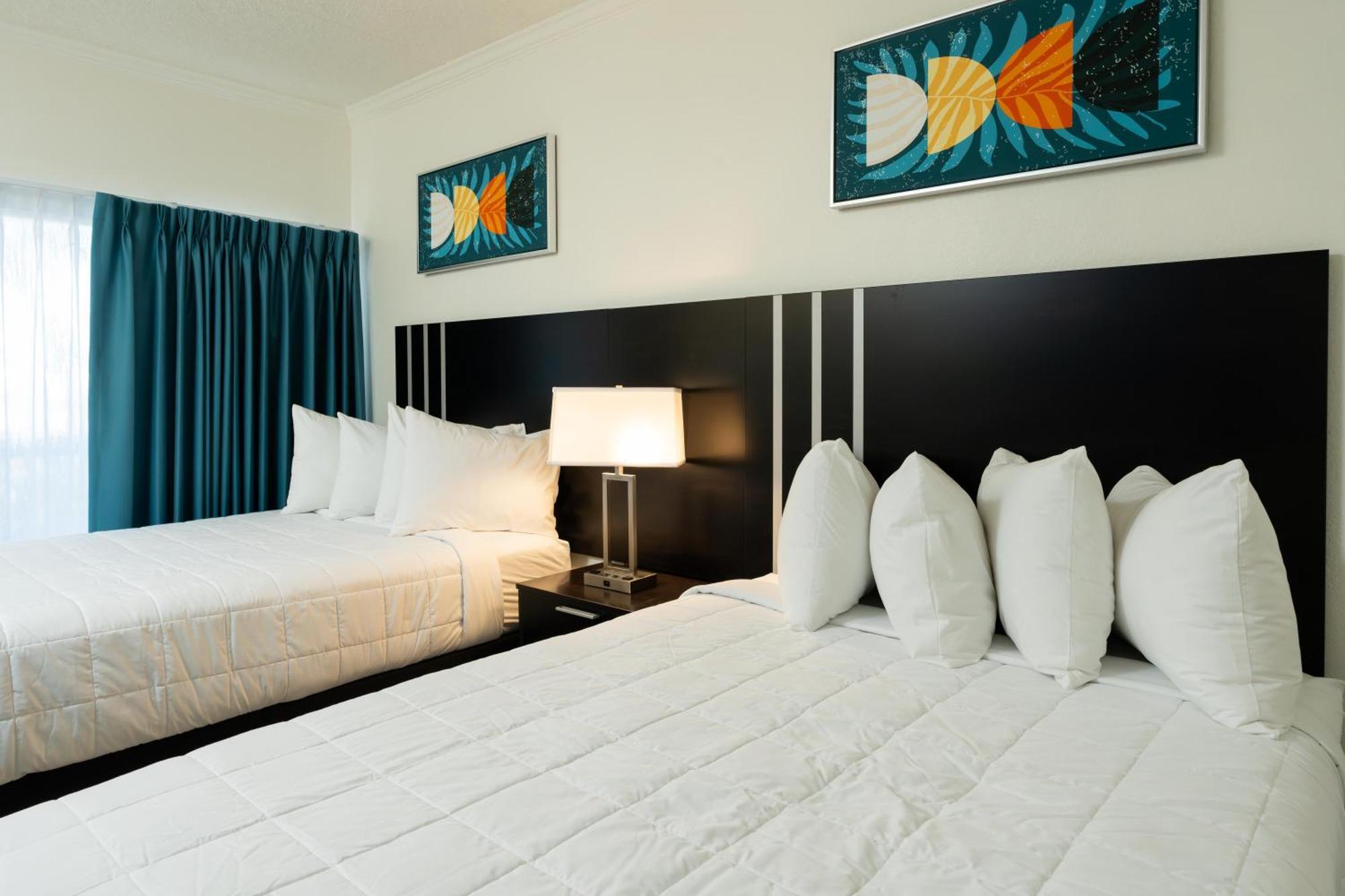 Oasis Bay Suites, Tampa, Busch Gardens, Usf 외부 사진