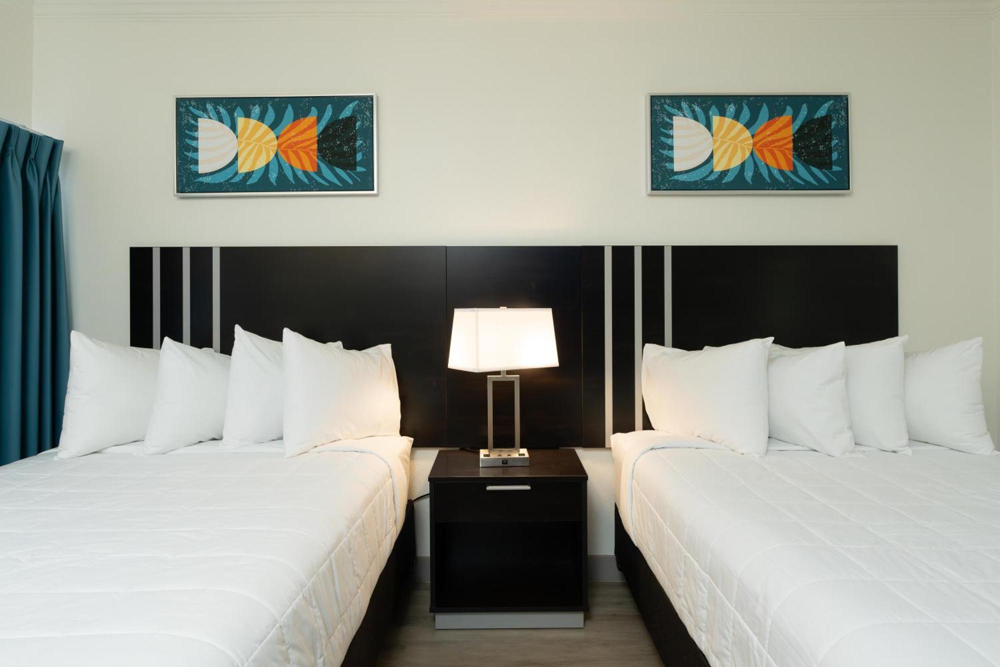 Oasis Bay Suites, Tampa, Busch Gardens, Usf 외부 사진