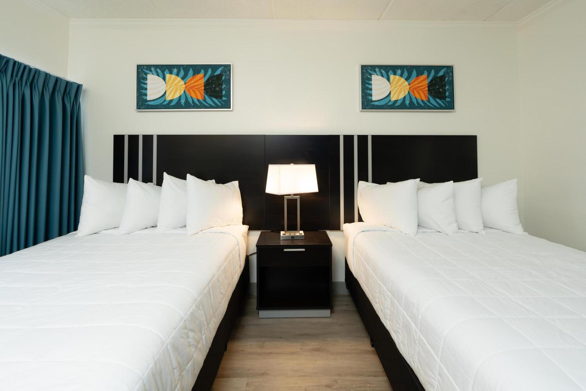 Oasis Bay Suites, Tampa, Busch Gardens, Usf 외부 사진