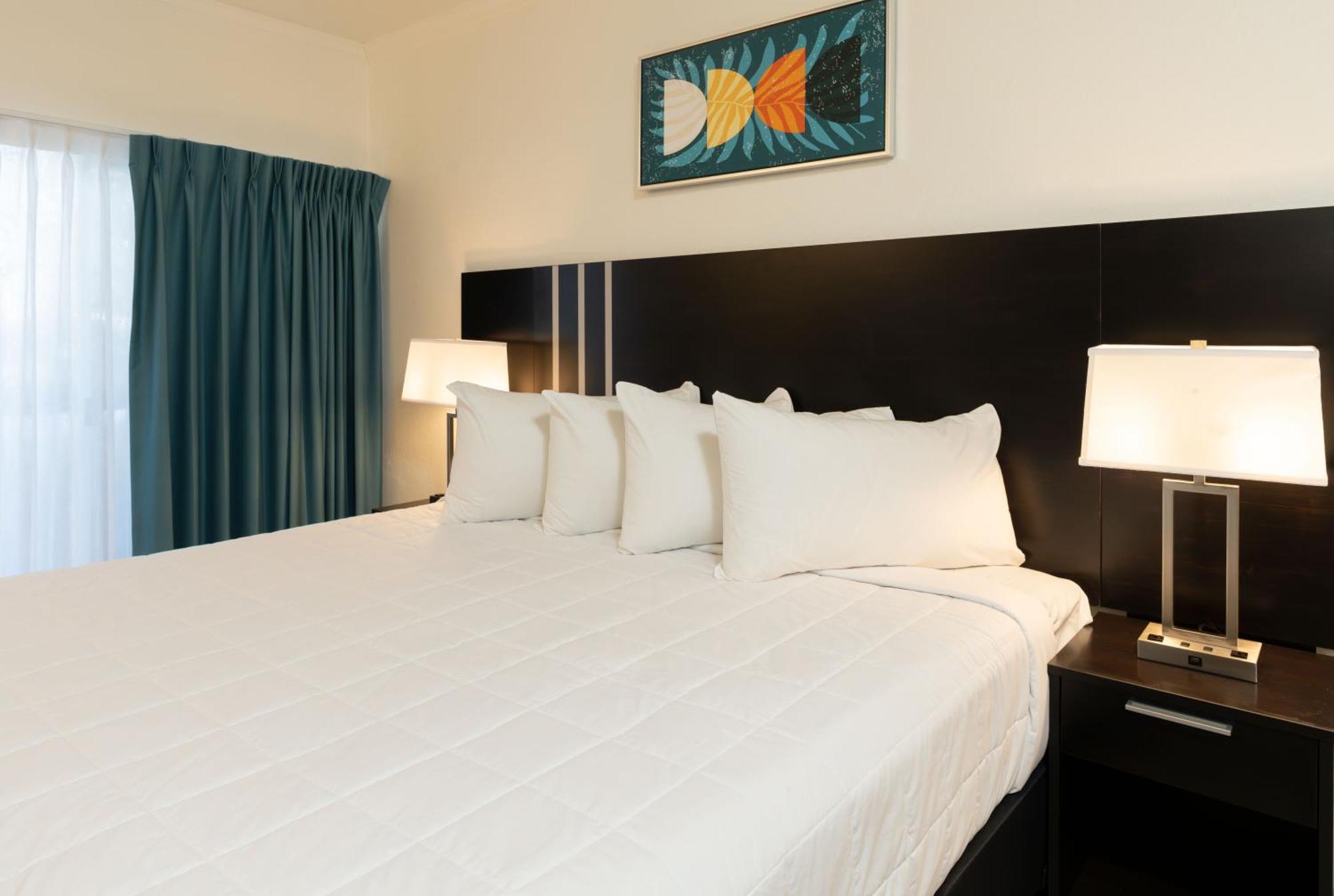 Oasis Bay Suites, Tampa, Busch Gardens, Usf 외부 사진